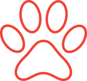 Red Trans Paw